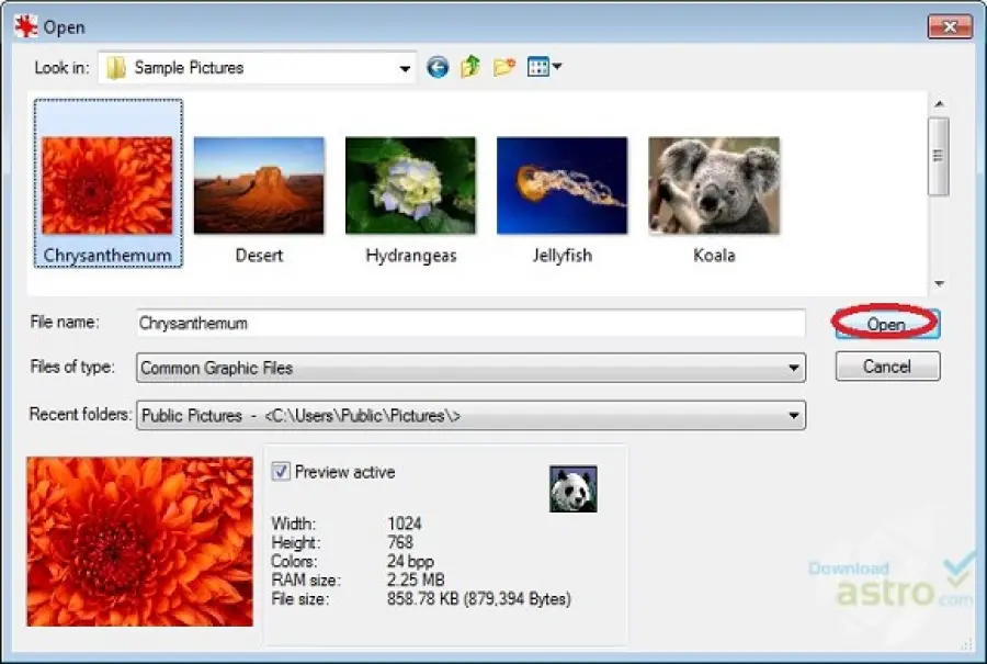 IrfanView download in italiano