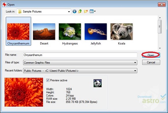 IrfanView download in italiano