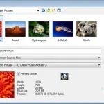 IrfanView download in italiano