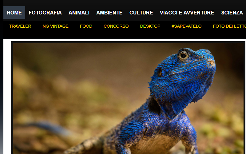 Documentari streaming migliori siti per vederli gratis?