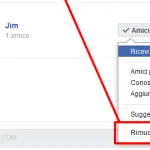 Come cancellare un amico da Facebook?