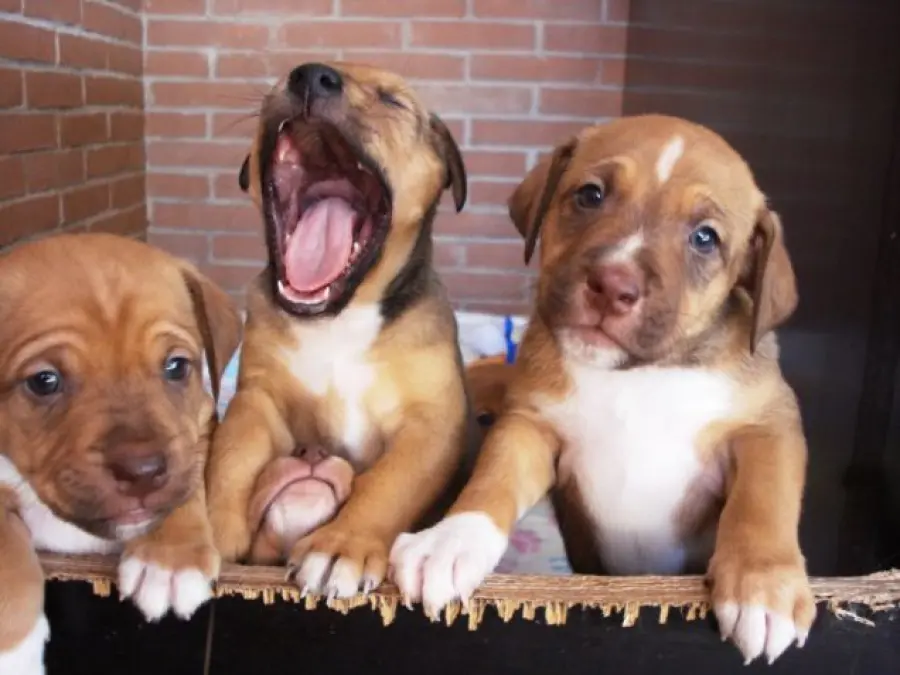 Buffering streaming lento? Ecco come risolvere il problema