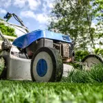 Cinque prodotti tech da utilizzare per la cura del tuo giardino