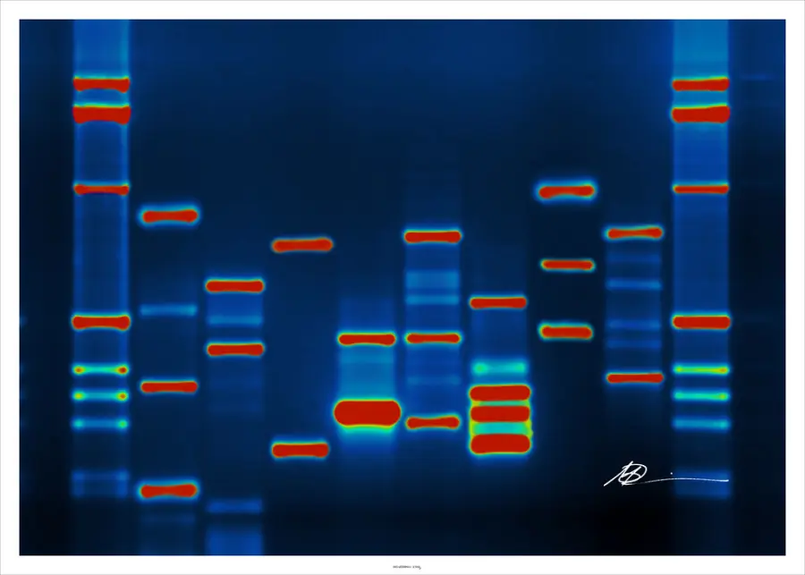 Tracciare la propria genealogia test dna per scoprire le origini