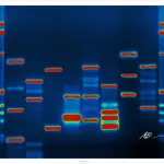 Tracciare la propria genealogia test dna per scoprire le origini